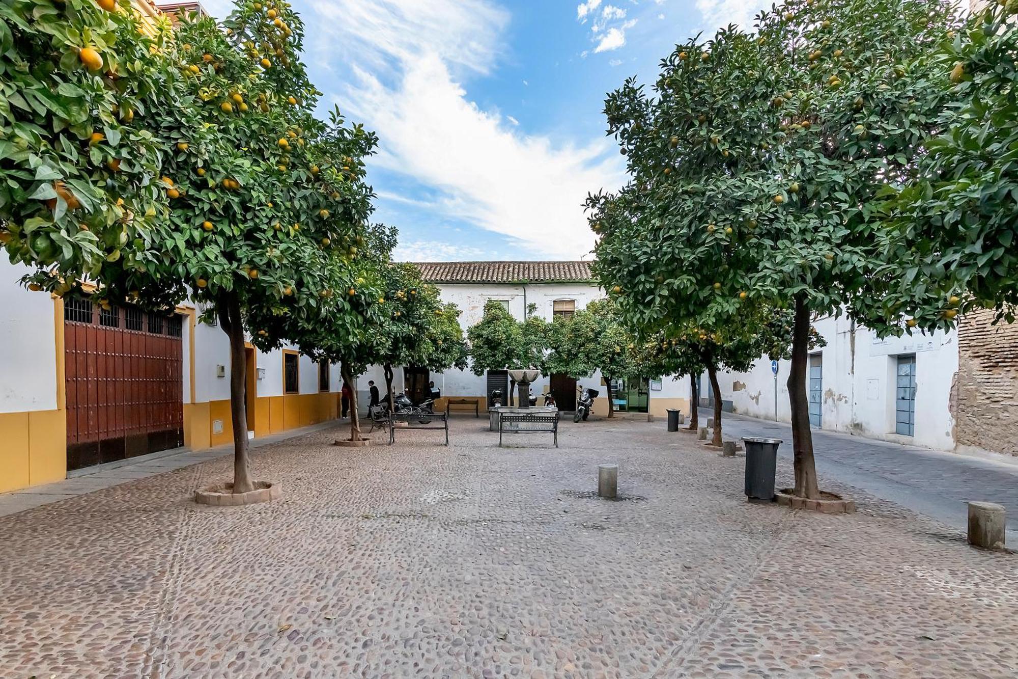 Bhost - Regina VIII Lejlighed Córdoba Eksteriør billede